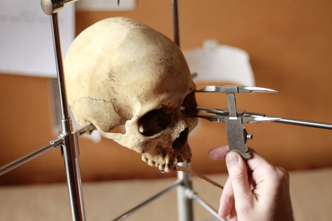 Штангенциркуль — до сих пор главный инструмент в арсенале антрополога