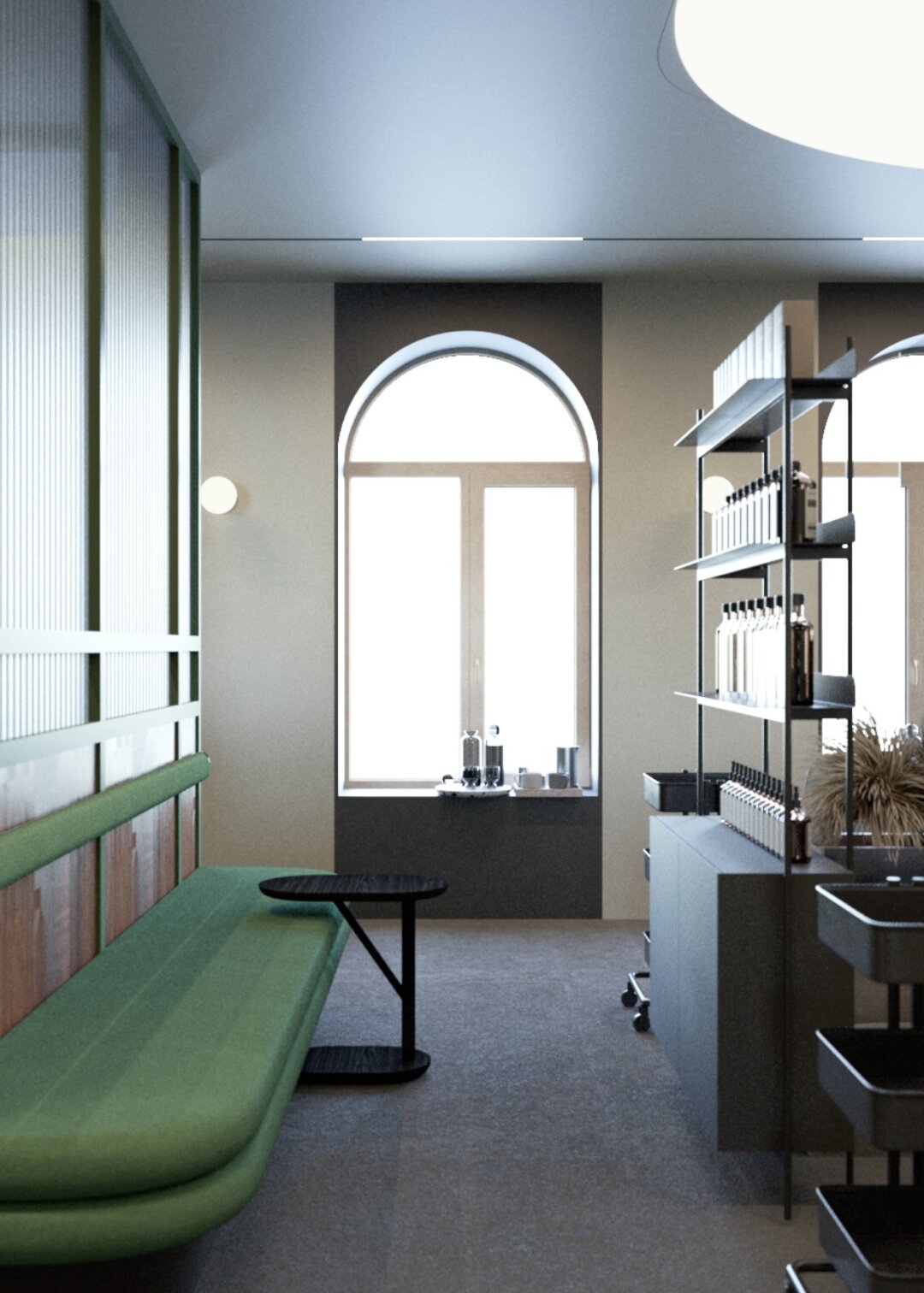 Студия Natulique (визуализация)