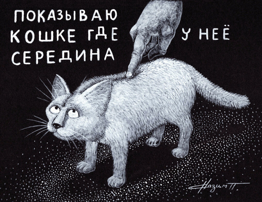 Павел Назим. Где у кошки центр