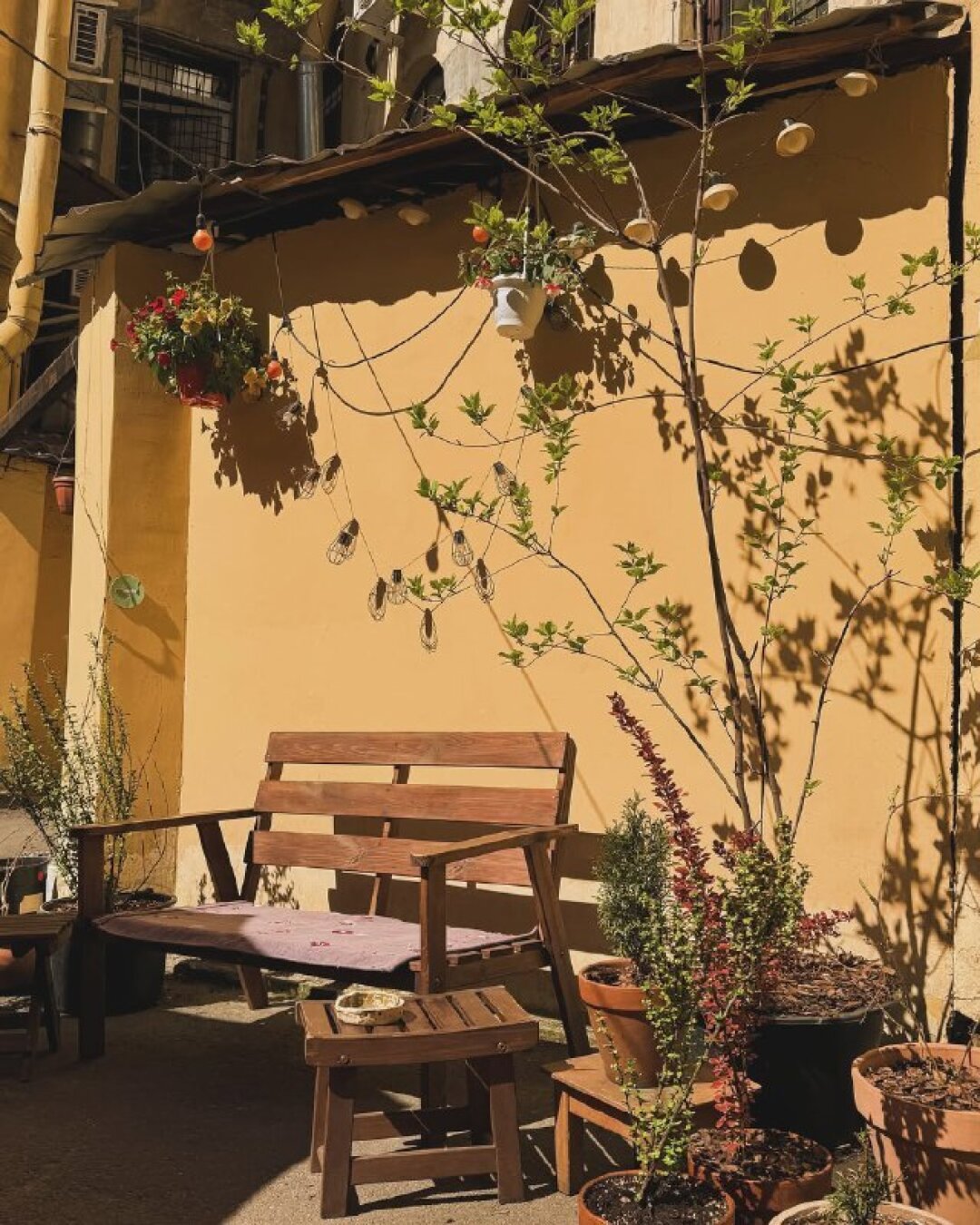 «Хороший тигр»