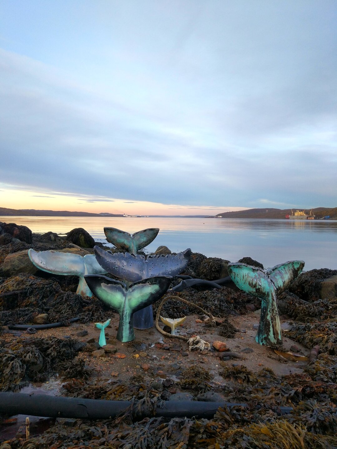 Александр Хромых. Хвост. 2025