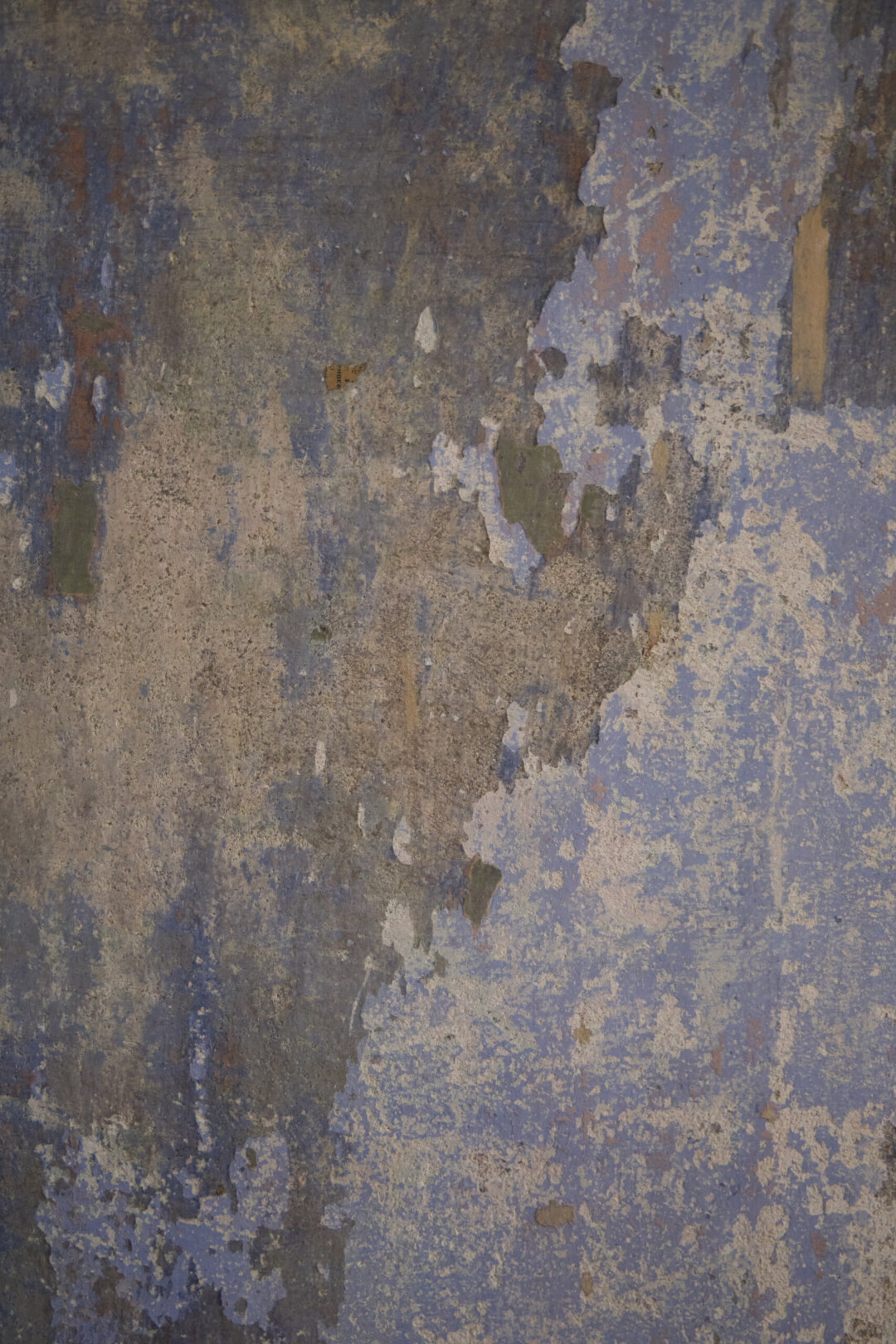 Реставраторы сохранили на стенах первый слой краски со следами орнамента – он стал основой цветовой гаммы проекта.