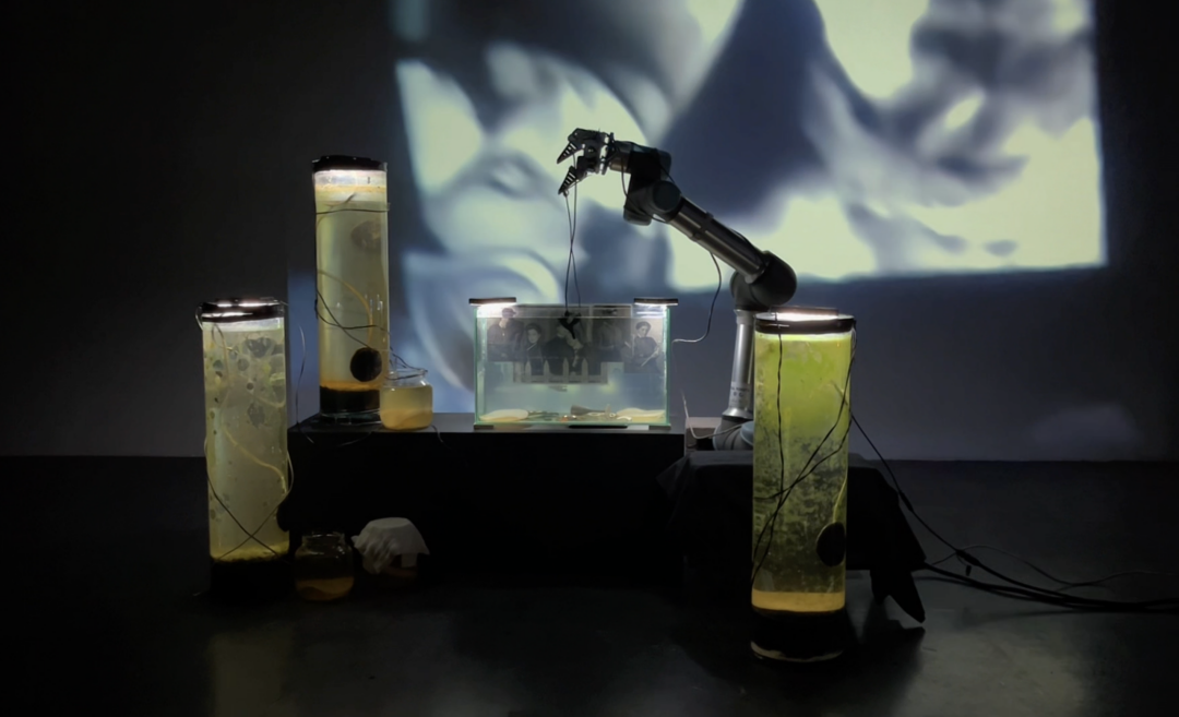 Три сестры. Грибная версия