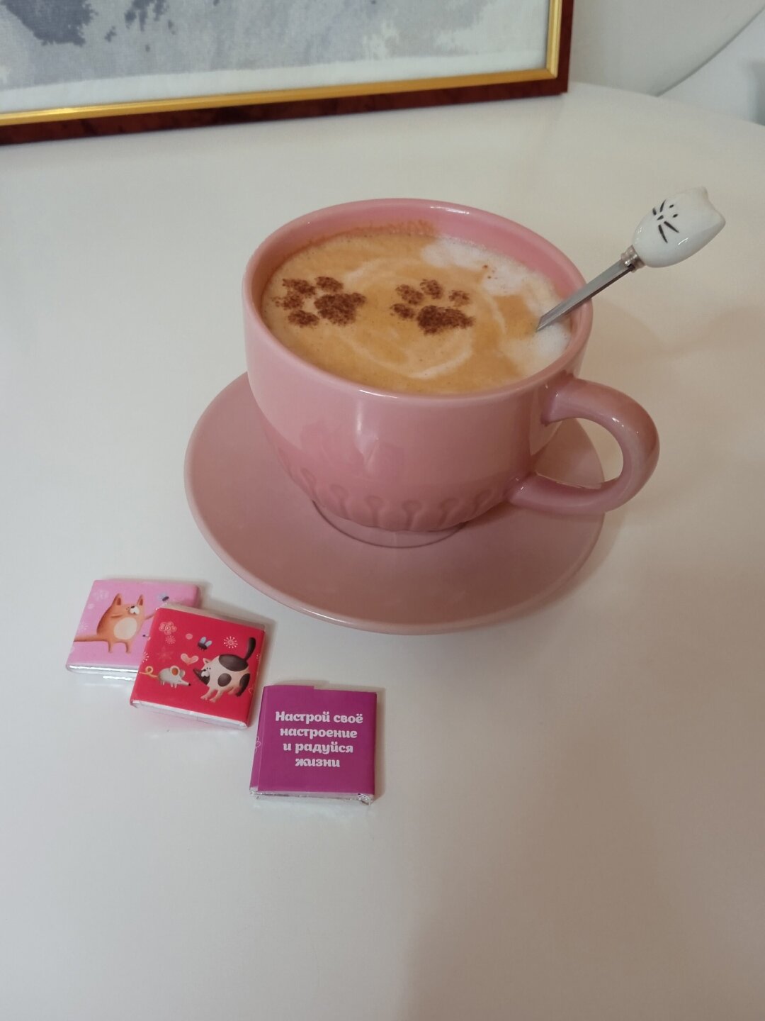 Кошачье кофе из «Котовского»