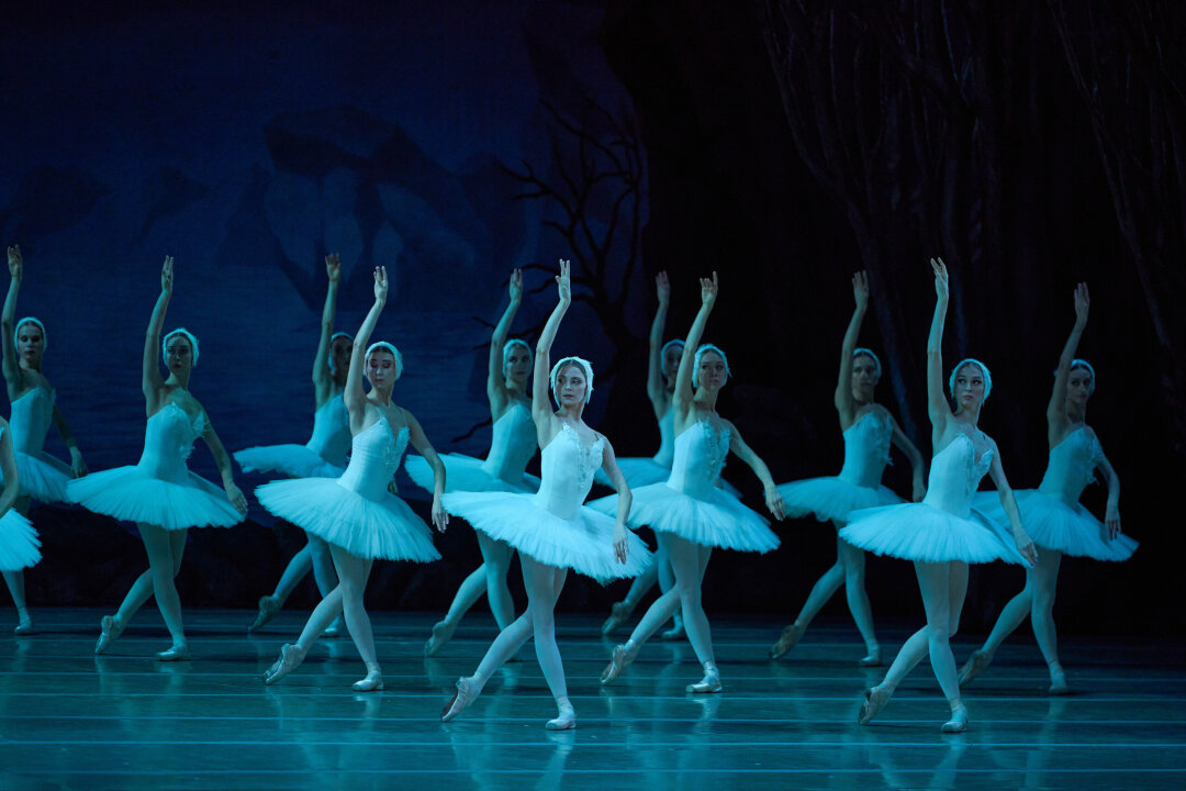 «Лебединое озеро»