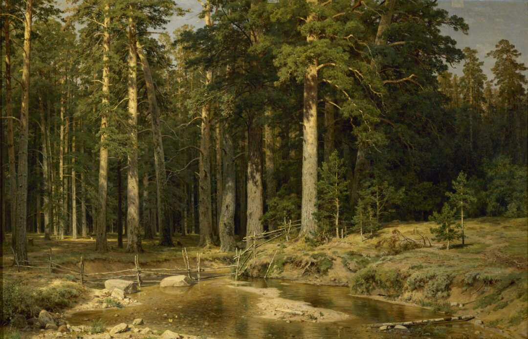 Иван Шишкин. Корабельная роща. 1898