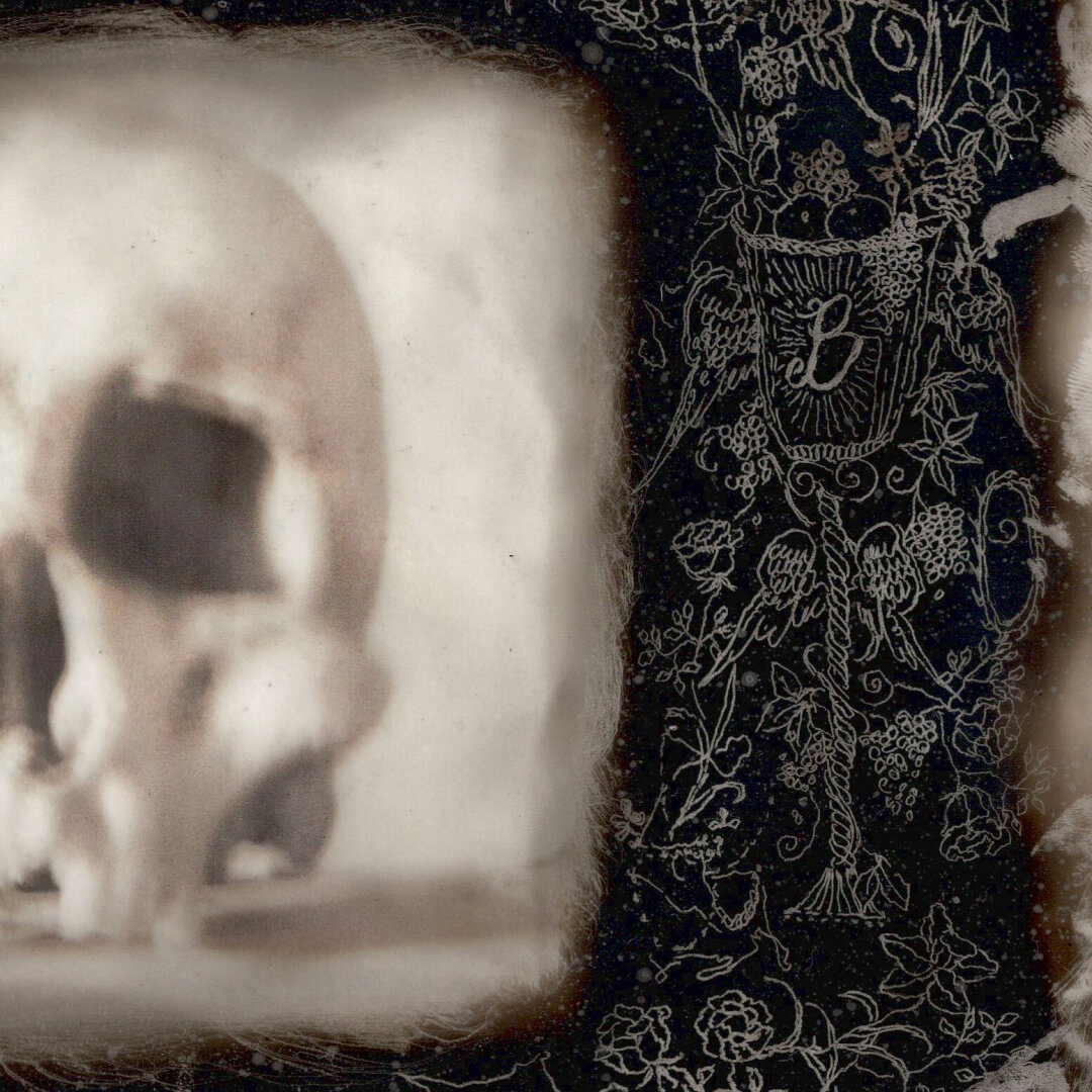 Фрагмент работы Валентина Фуфаева и Анны Волковой "Череп и натюрморт" из серии «А+В». 2023