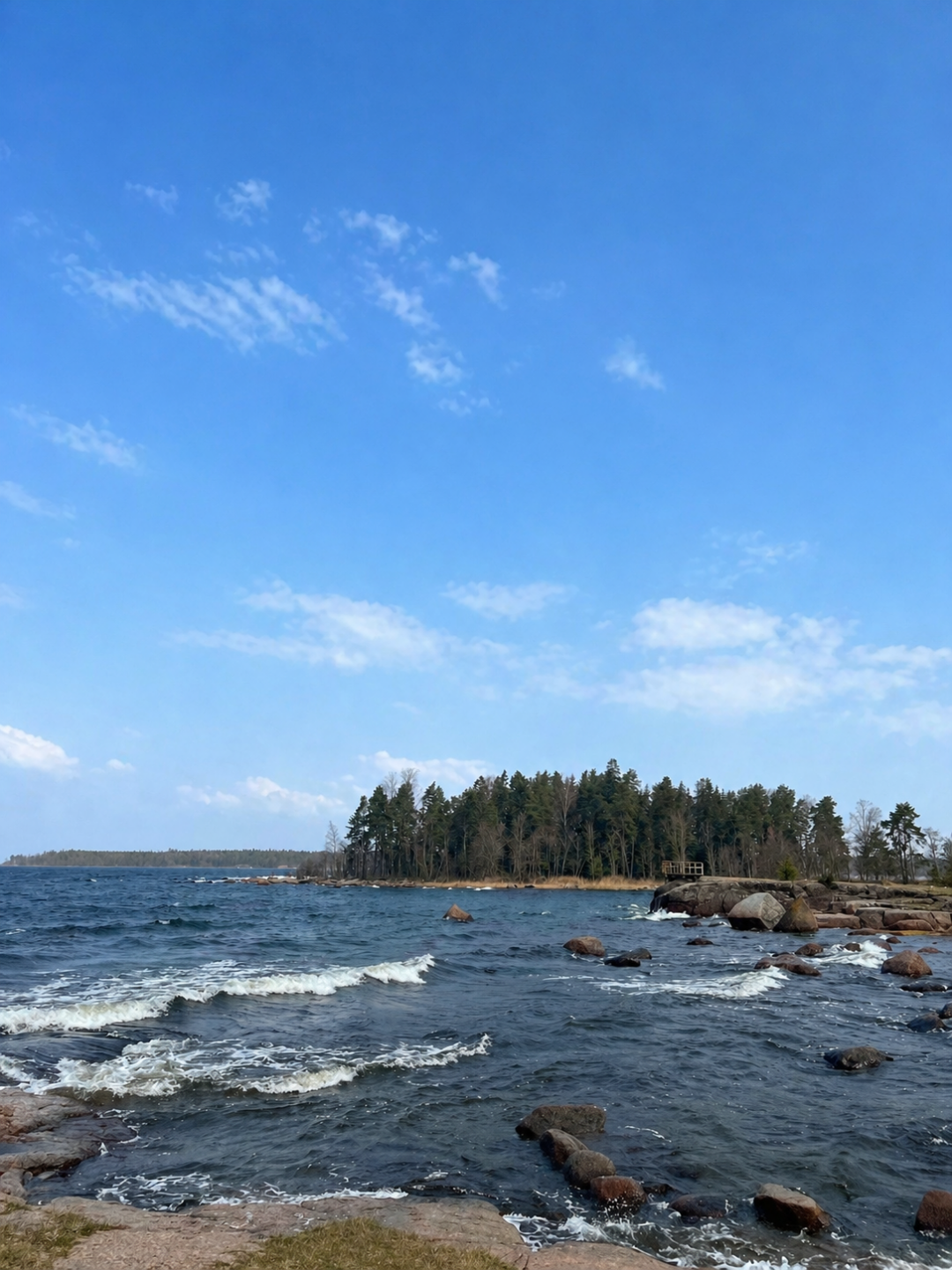 Экотропа в заказнике Кивипарк