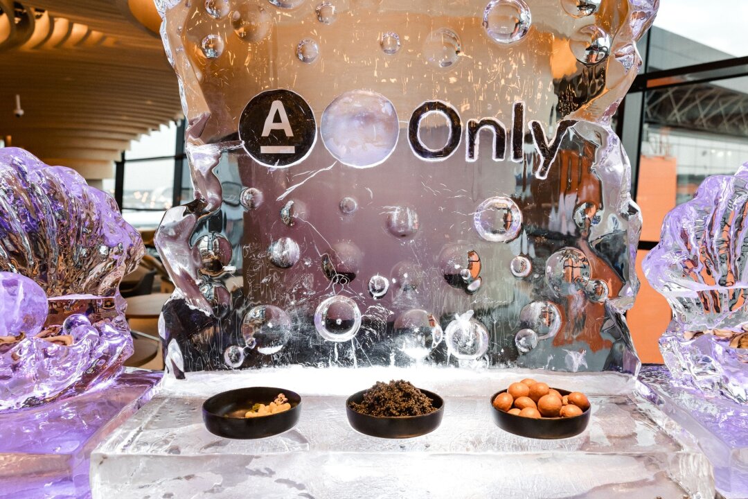 Alfa Only Lounge в международном терминале С