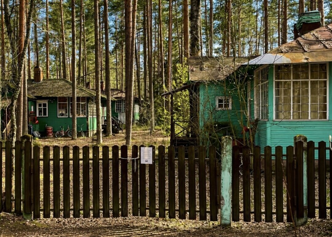 Писательские дачи в поселке Комарово