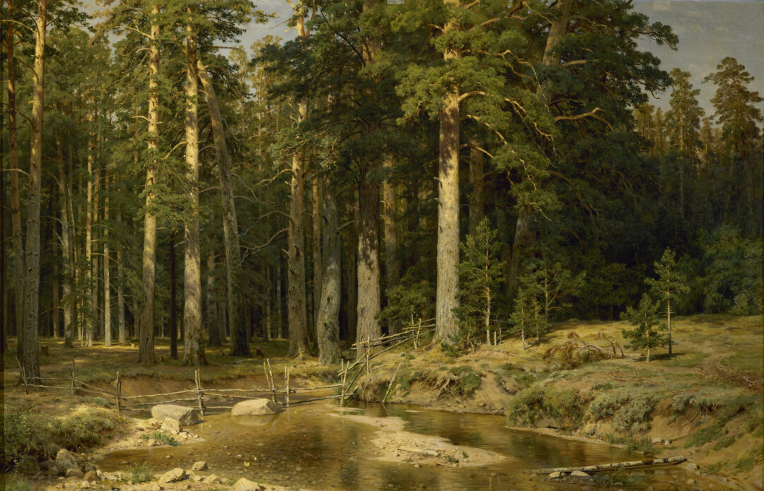 Иван Шишкин. Корабельная роща. 1898
