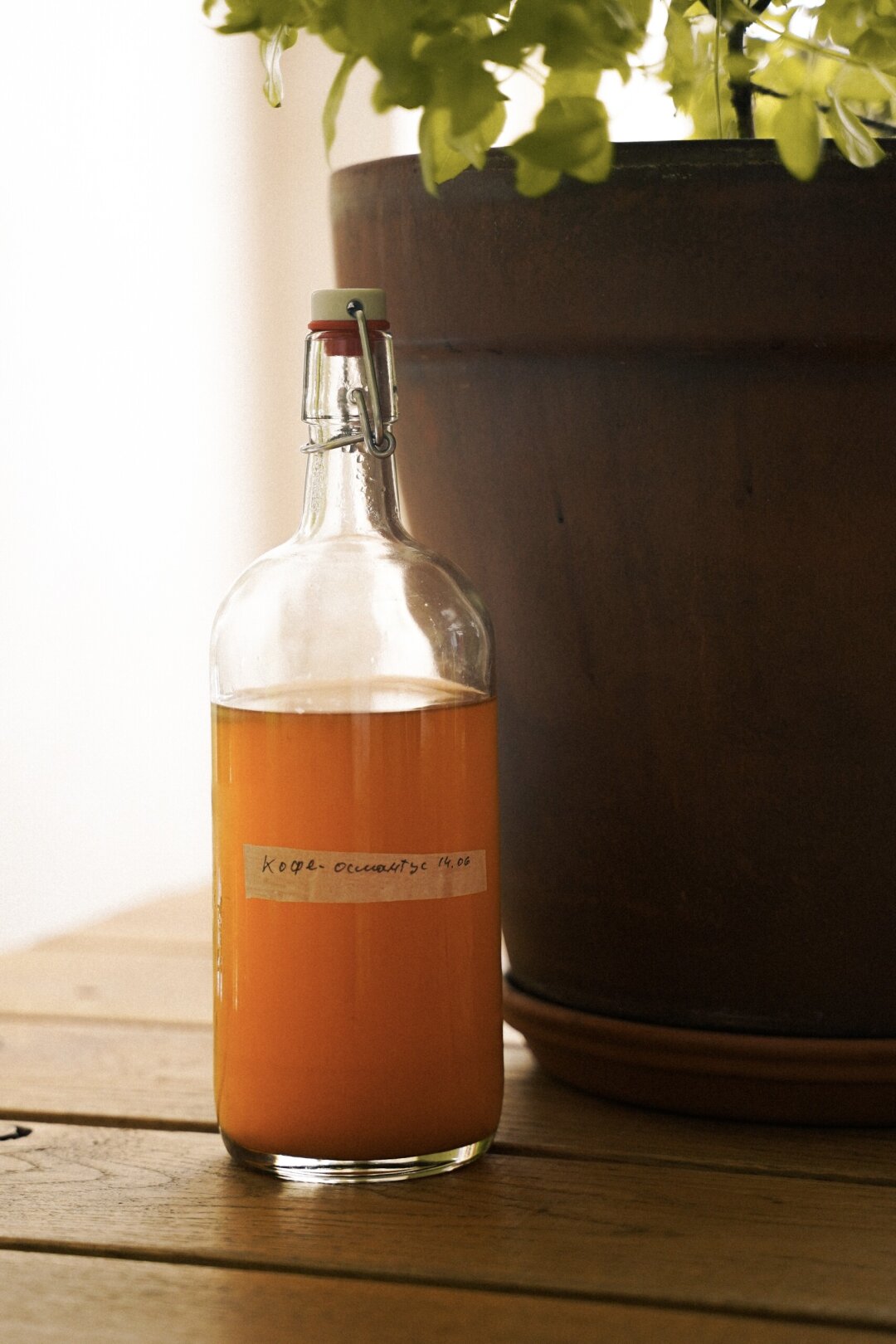 Комбуча кофе-османтус
