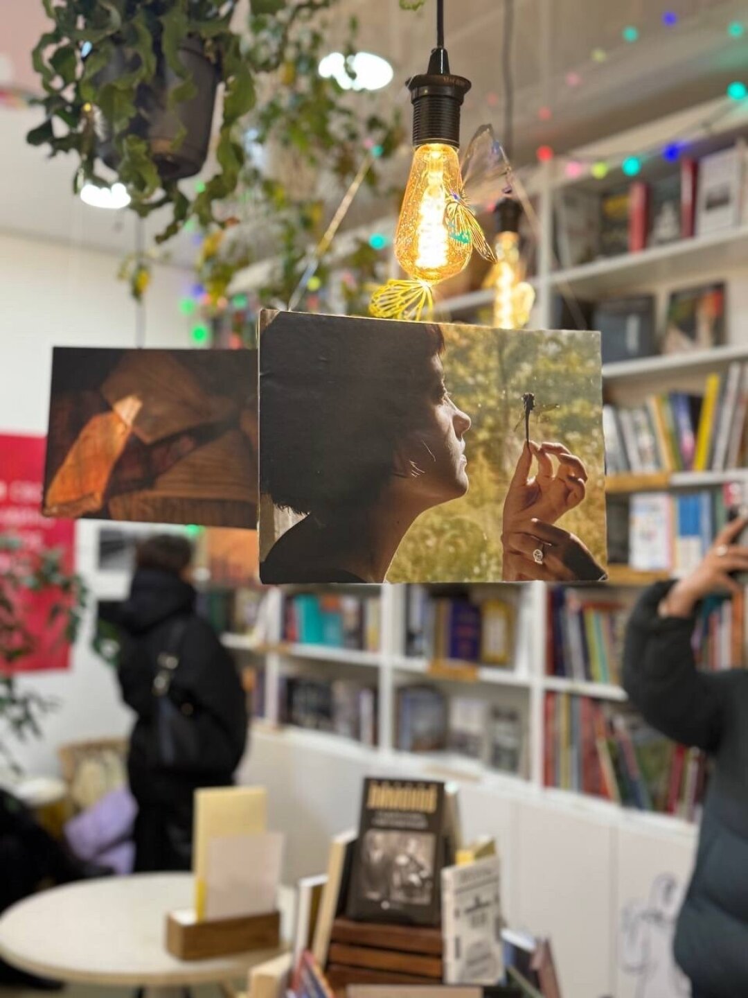 Выставка Вероники Танцыновой «Дюймы» в книжном «Перед прочтением сжечь». 2026
