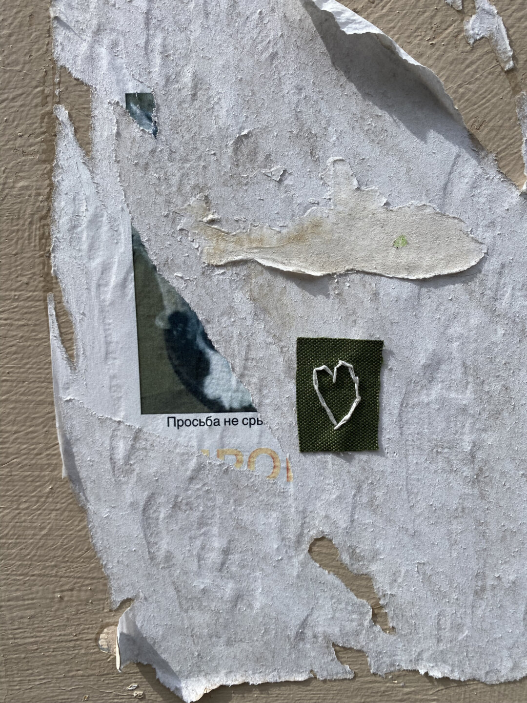 Саша Браулов. Сердце #000. 2026