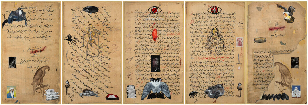 Гарги Райна. SHAFA I Привратники, I–V. 2026