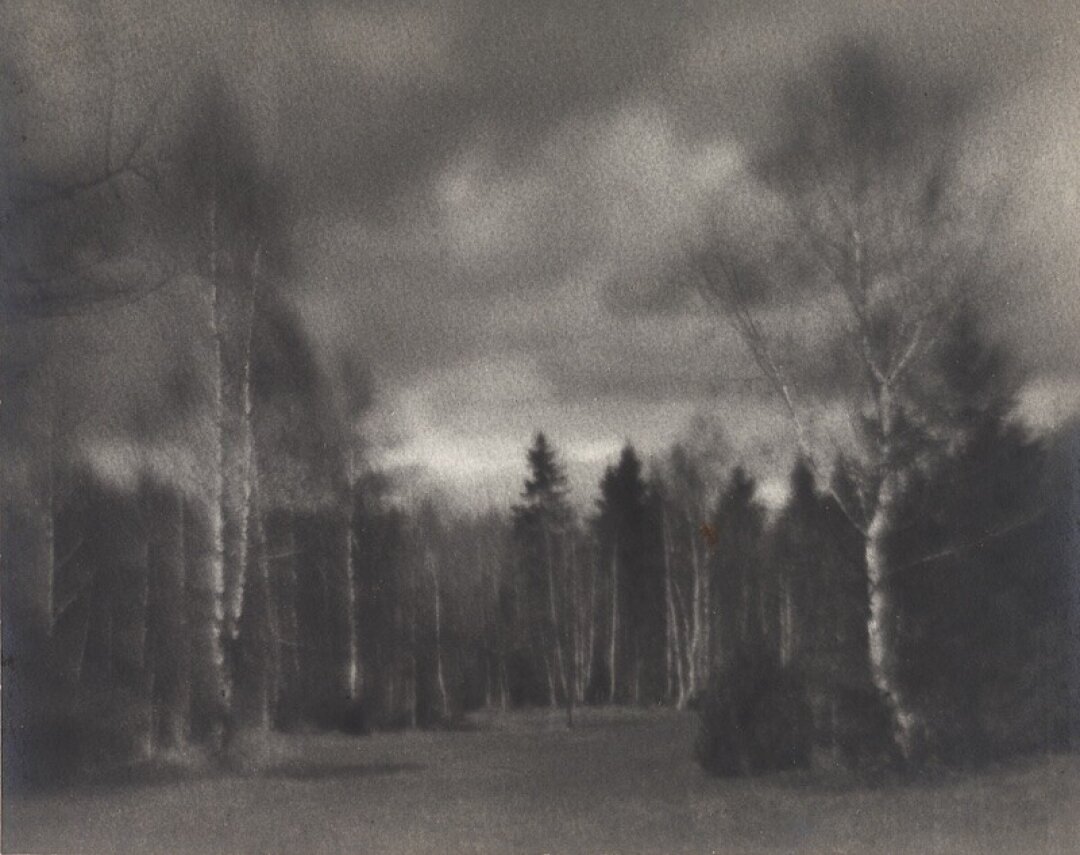 Н.П. Андреев. Опушка. 1920-е
