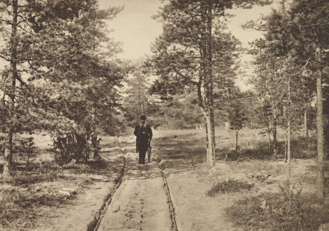 Е.П. Вишняков. Песчаная дорога в сосновом лесу. Портрет Ивана Шишкина. 1889