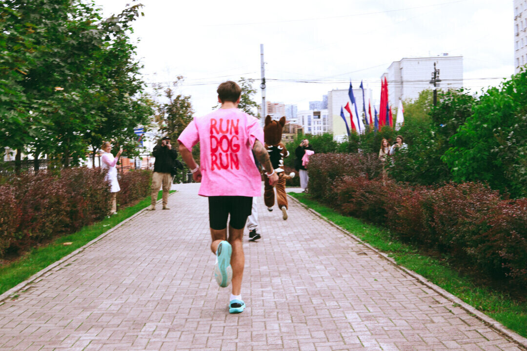 Забег Run Dog Run