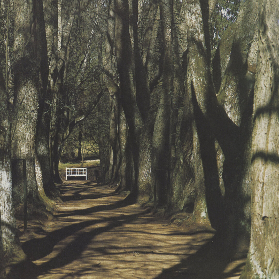 Motorama — Sleep, and I Will Sing