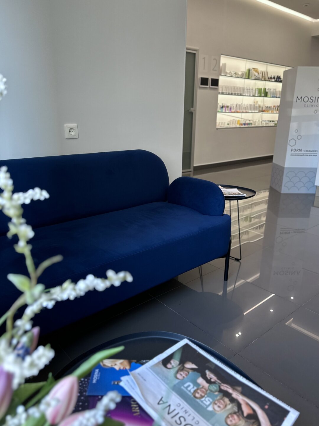Mosina Clinic в исполнении «Garda Decor Пермь»