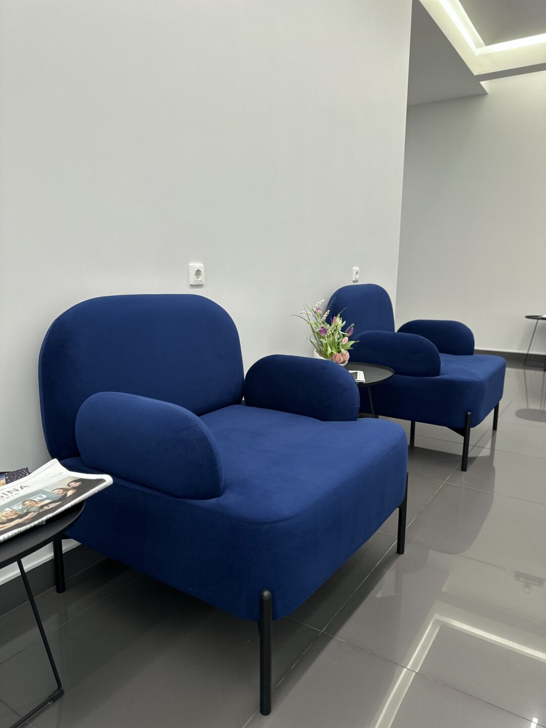 Mosina Clinic в исполнении «Garda Decor Пермь»