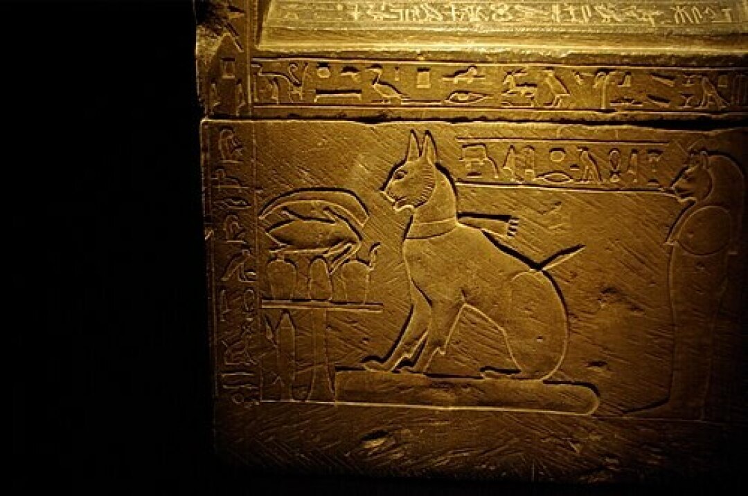Саркофаг кошки принца Тутмоса Та-миут. Около 1391–1353 гг. до н. э