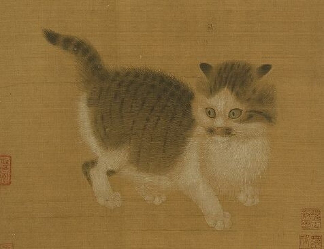 Неизвестный художник. Котенок (лист 4 из альбома Картины различных династий). Китай, династия Сун (960–1279)