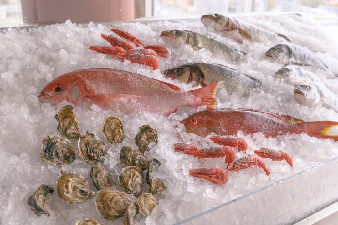 Витрина со свежей рыбой и морепродуктами