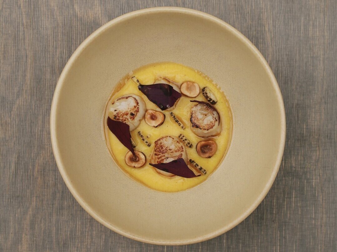 Meal