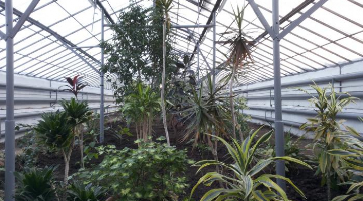 Ботанический сад казань фото Ботанический сад казань фото