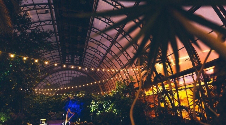 Оранжереи Таврического сада реконструируют Blog Fiesta