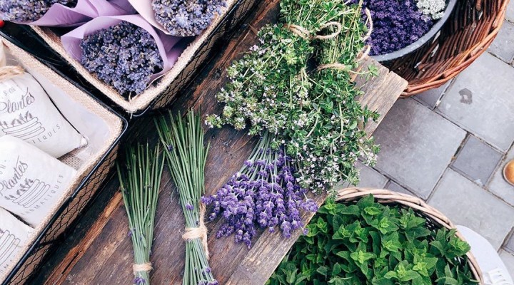 Дом ароматных трав фото Дом ароматных трав фото