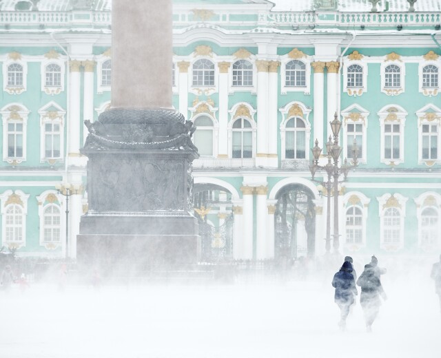Метели, заносы и до 15 см снега: циклон «Биргит» пришел в Петербург и принес непогоду