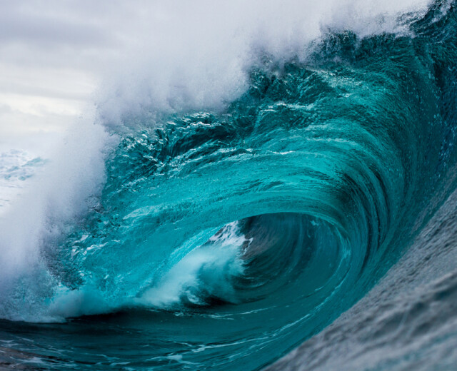 Почти 200 стран подписали соглашение о защите мирового океана, по нему треть вод окажется под охраной. Что это значит?