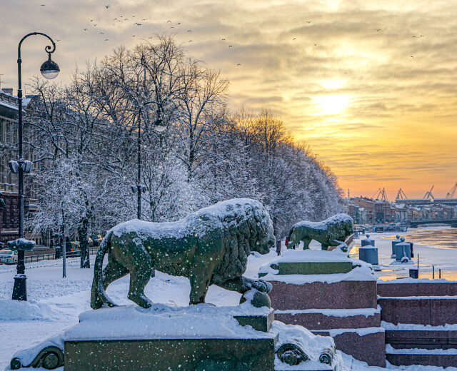 Станет ли предстоящая ночь самой холодной в Петербурге в этом году? Отвечают синоптики