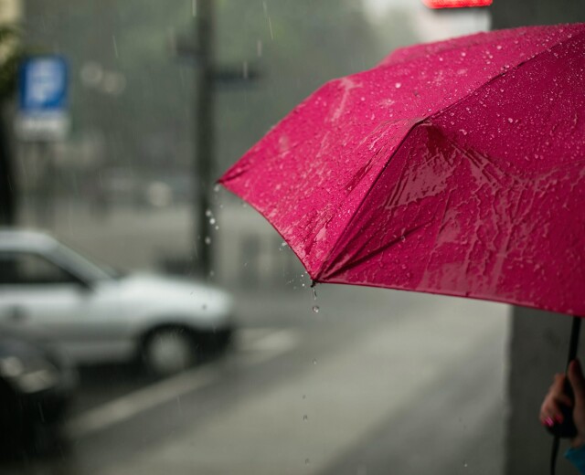 Тепло и дожди: синоптики о погоде в Перми в эти выходные