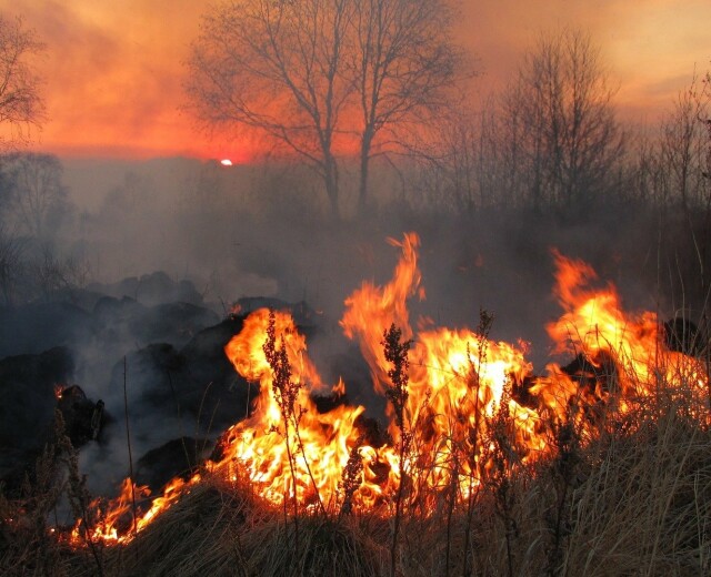 17 апреля в Новосибирской области установлено начало пожароопасного сезона