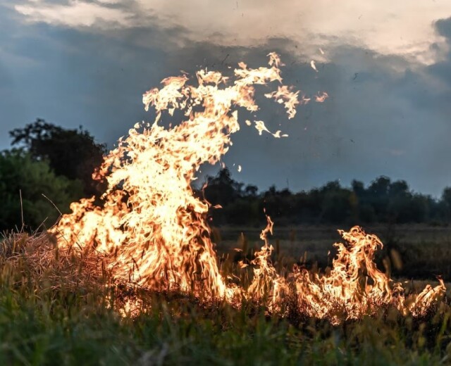 В Башкортостане с начала года произошло уже 540 природных пожаров