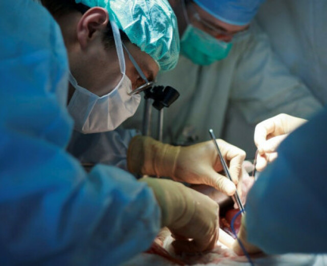 Новосибирские врачи спасли молодую пациентку с редкой патологией печени