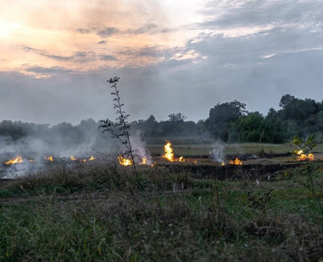 В Башкортостане за сутки произошло 37 природных пожаров