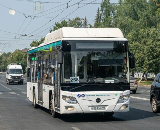 ГИБДД проведет массовые проверки автобусов в Уфе