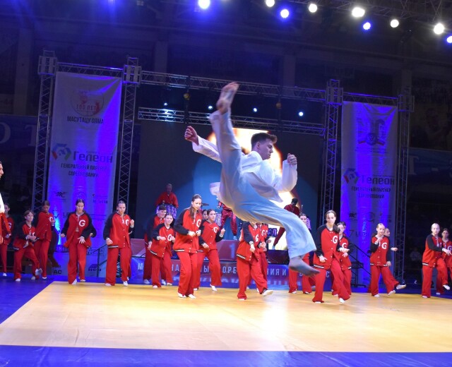 На Международном турнире по киокусинкай в Новосибирской области выступили 900 спортсменов из 16 стран