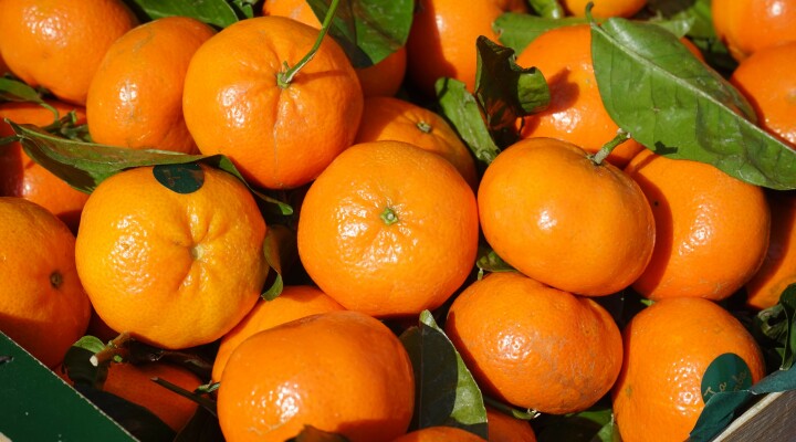 Клементины фрукты фото Клементины фрукты фото