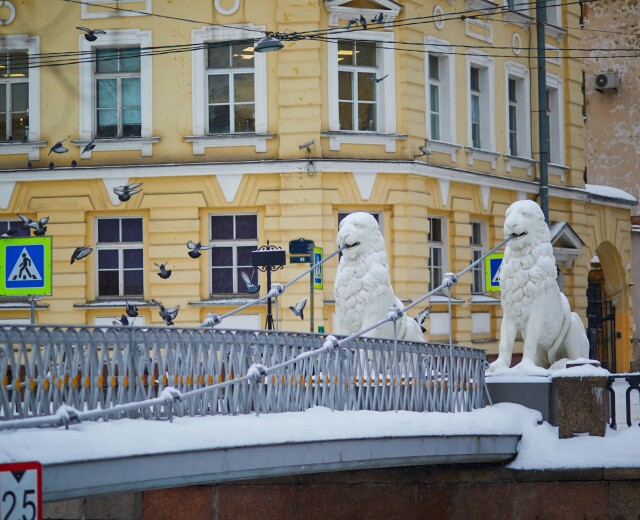 Первый мороз: рассказываем о погоде в Петербурге в воскресенье