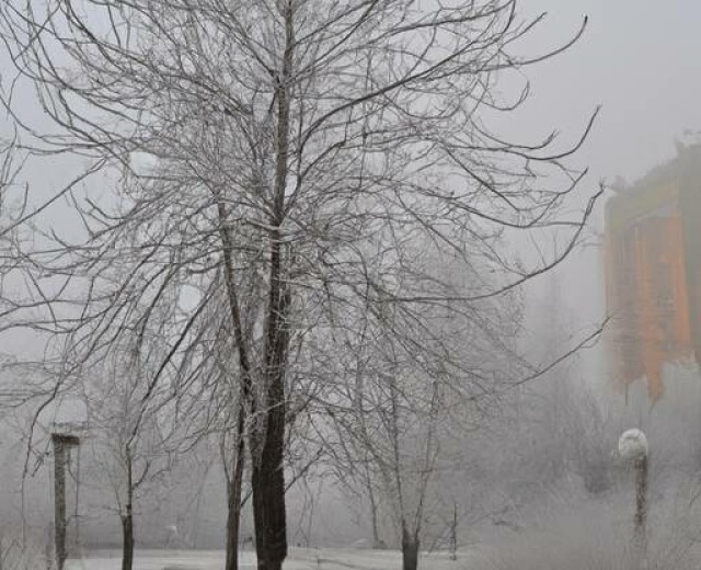 Чем удивит погода в Ростове в первые дни февраля