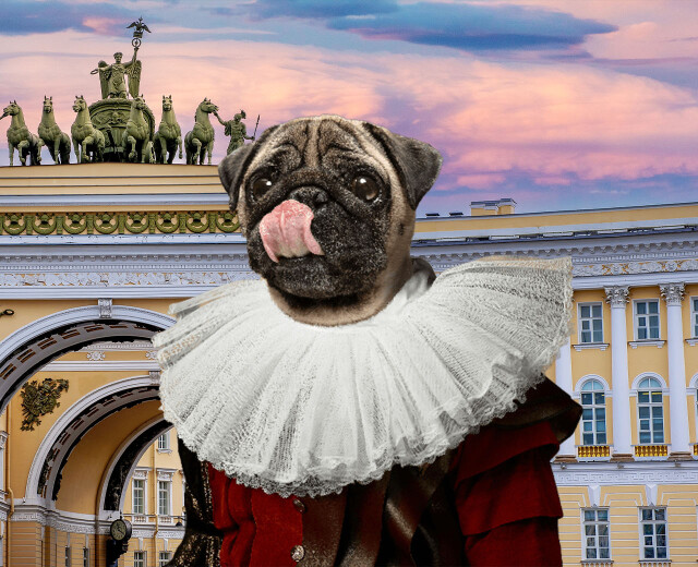 Петербург — город для собак? И почему Москва ему уступает? Отвечает урбанист