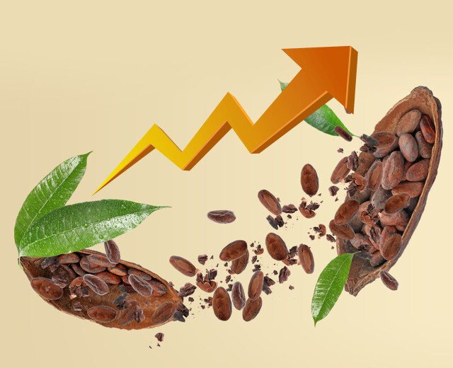 Кризис в шоколаде. Цена на какао-бобы побила исторический рекорд! Почему так происходит? Они теперь что, новый биткоин?