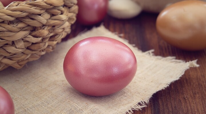 Новосибирцам рассказали, как правильно красить яйца на Пасху
