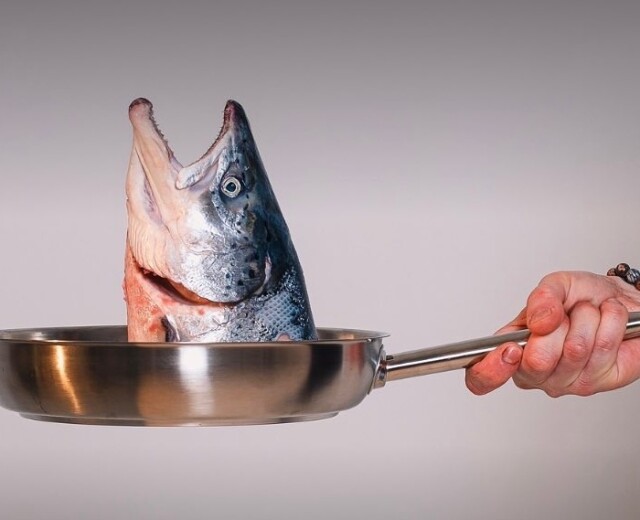 80-килограммовый тунец и пивное казино: ресторанный дайджест
