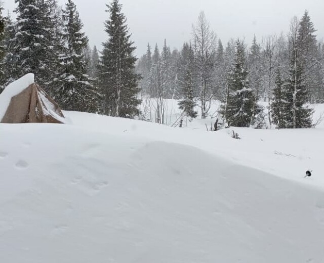 За ночь в Вишерском заповеднике выпало 25 сантиметров снега